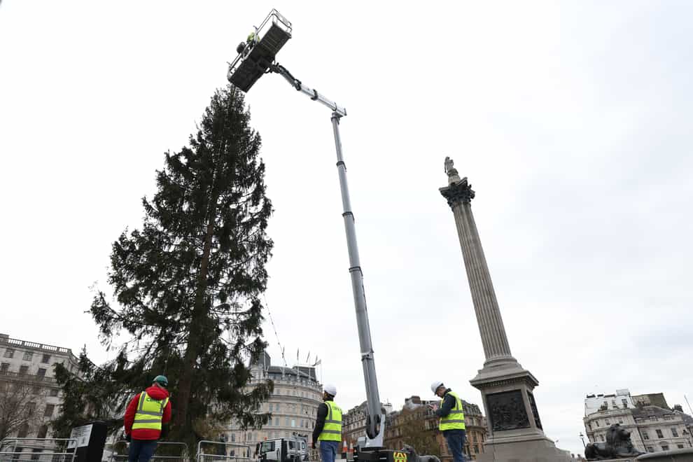 Workers put the finishing touches to the Trafalgar Square Christmas tree (James Manning/PA)