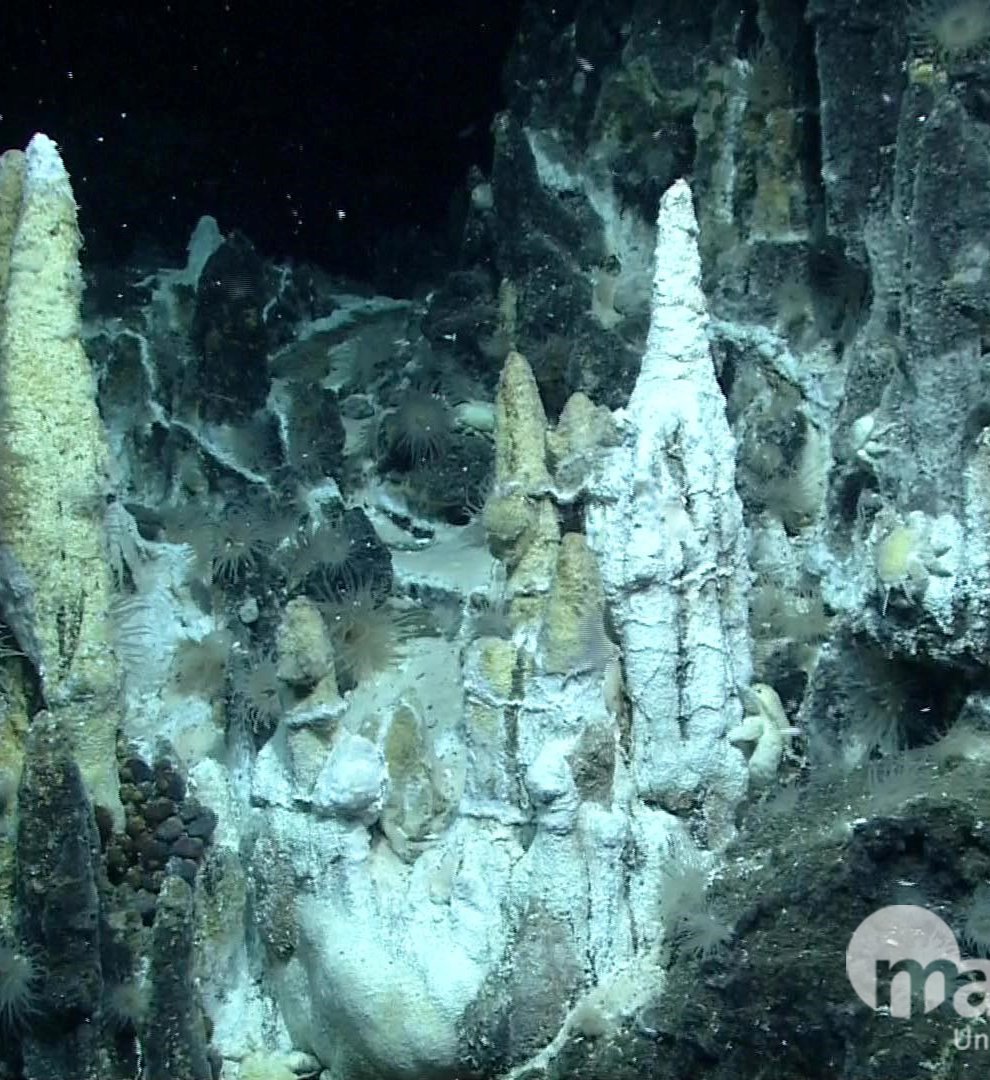 A deep-sea Hydrothermal Vent taken by a Remotely Operate Vehicle (Marum Universitat Bremen/PA)