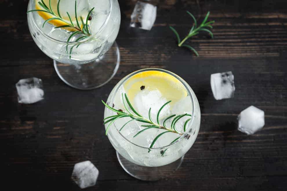 Gin & Tonic cocktail with lemon, rosemary and ice (Alamy/PA)