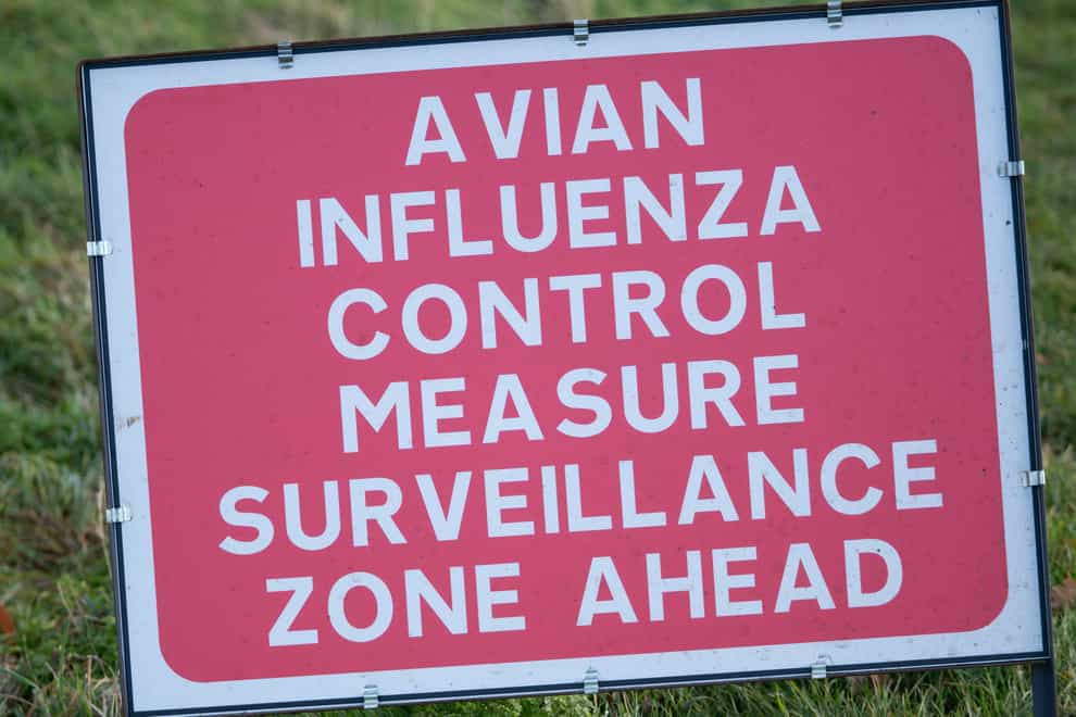 Stormont Agriculture Minister Edwin Poots has warned poultry flock owners they must act to stop the spread of avian influenza (Joe Giddens/PA)