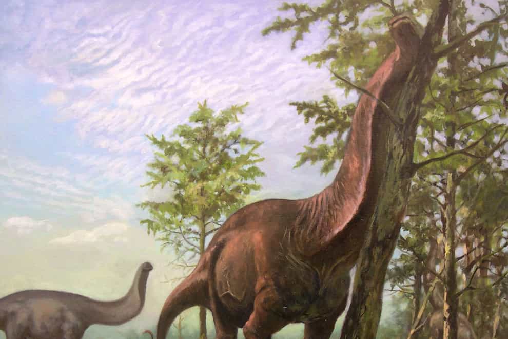 Sauropod dinosaurs preferred warmer regions of Earth, the new study suggests (Emiliano Troco/UCL)