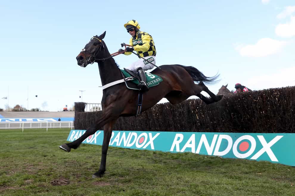Shishkin will have another workout ahead of a possible return to action at Kempton over Christmas (David Davies/Jockey Club)