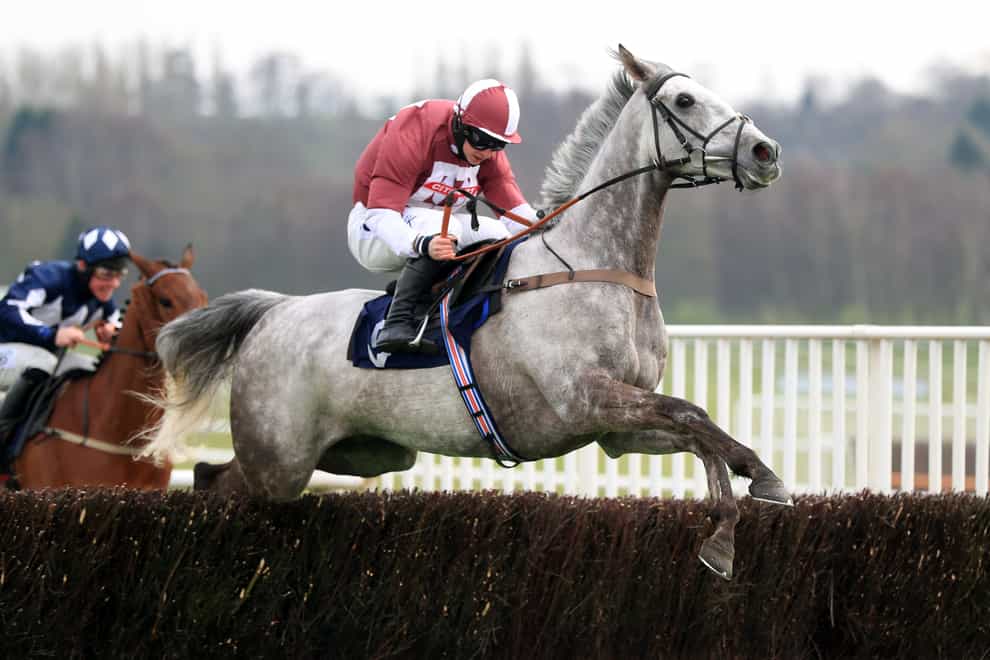Ask Me Early is out of the Coral Welsh Grand National following a fall while schooling (Mike Egerton/PA)