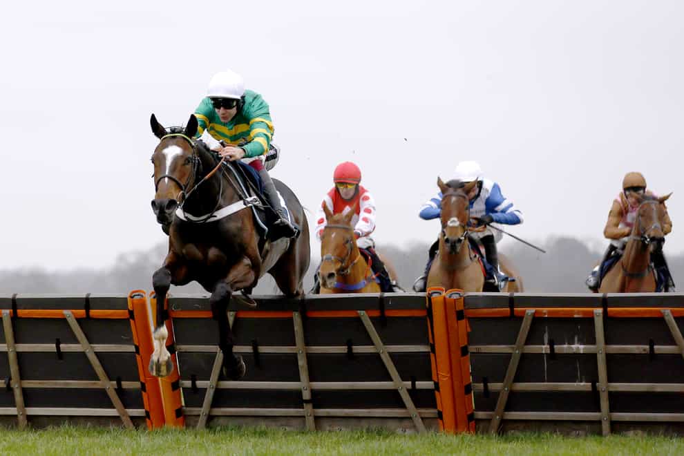 Colonel Mustard (second from left) finishing second in the Kennel Gate Novices’ Hurdle at Ascot (PA)