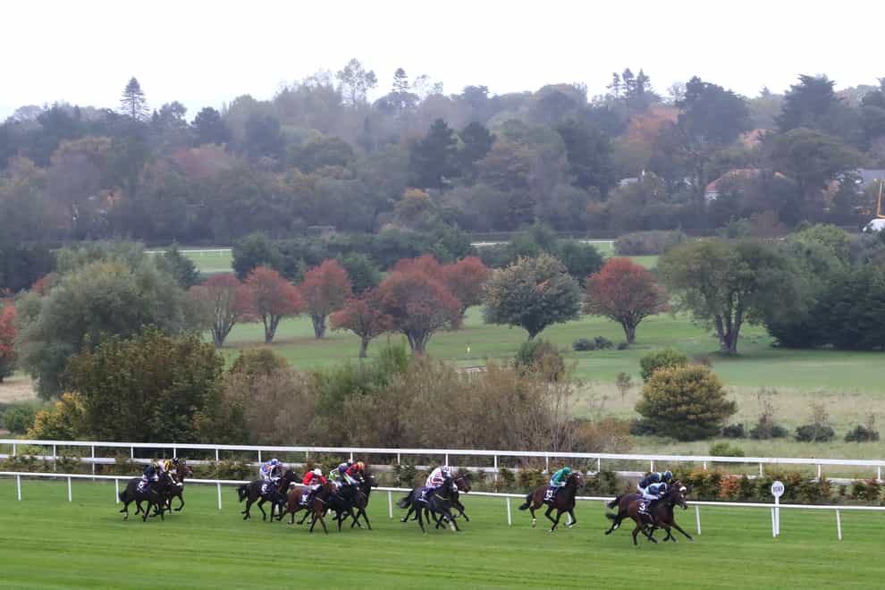 Leopardstown will operate a reduced capacity (Niall Carson/PA)