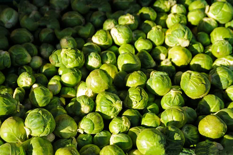 Brussels sprouts (Alamy/PA)
