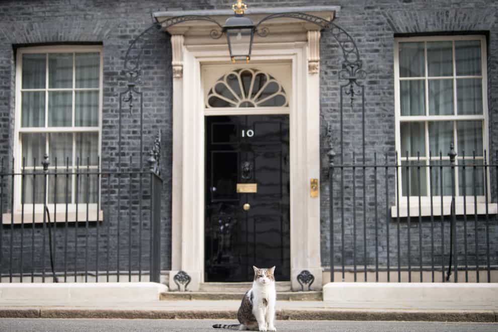Larry the Cat celebrated a decade as Downing Street’s chief mouser (Stefan Rousseau/PA)