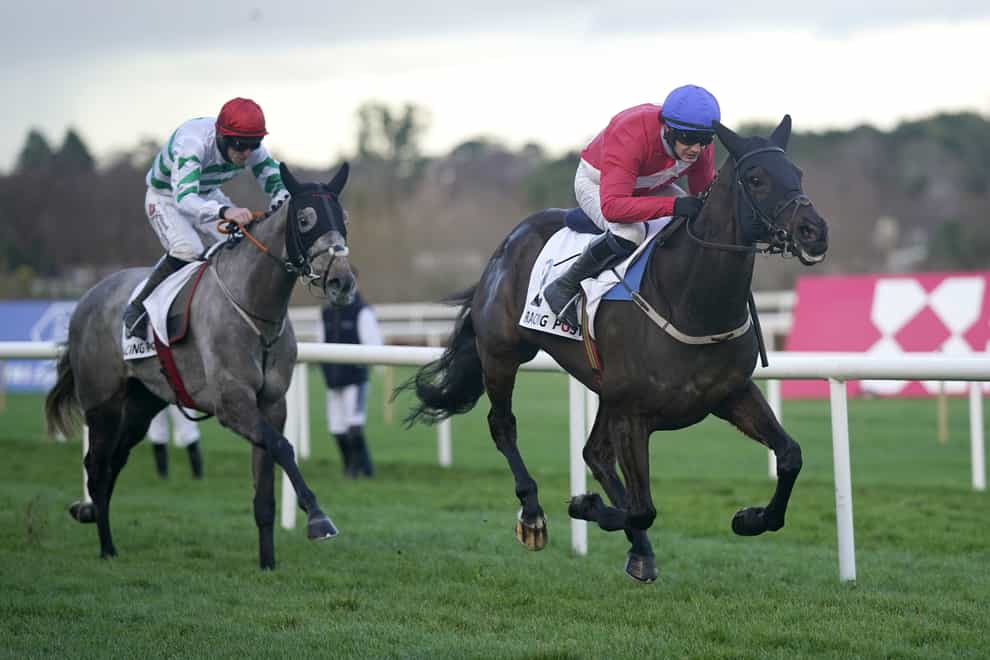 Ferny Hollow pulls clear of Riviere D’etel (Niall Carson/PA)