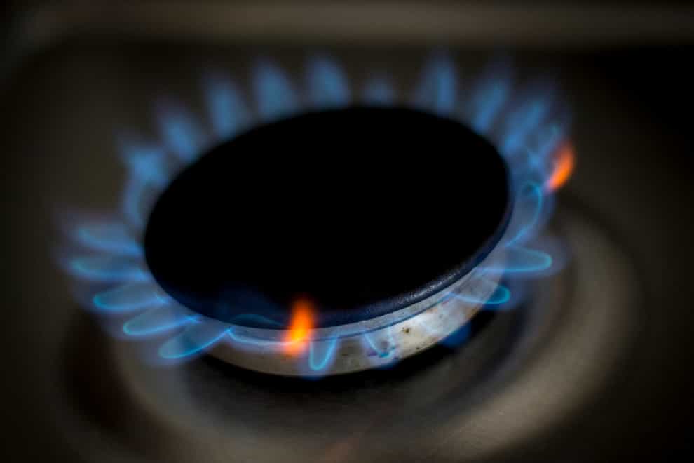 The Government needs to show more urgency in curbing rising gas and electricity prices, an energy boss has said (Lauren Hurley/PA)