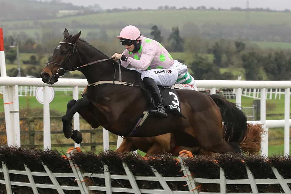Sharjah and Patrick Mullins coming home to win the Unibet Morgiana Hurdle at Punchestown Racecourse in County Kildare, Ireland. Picture date: Sunday November 14, 2021 (Lorraine O’Sullivan/PA)