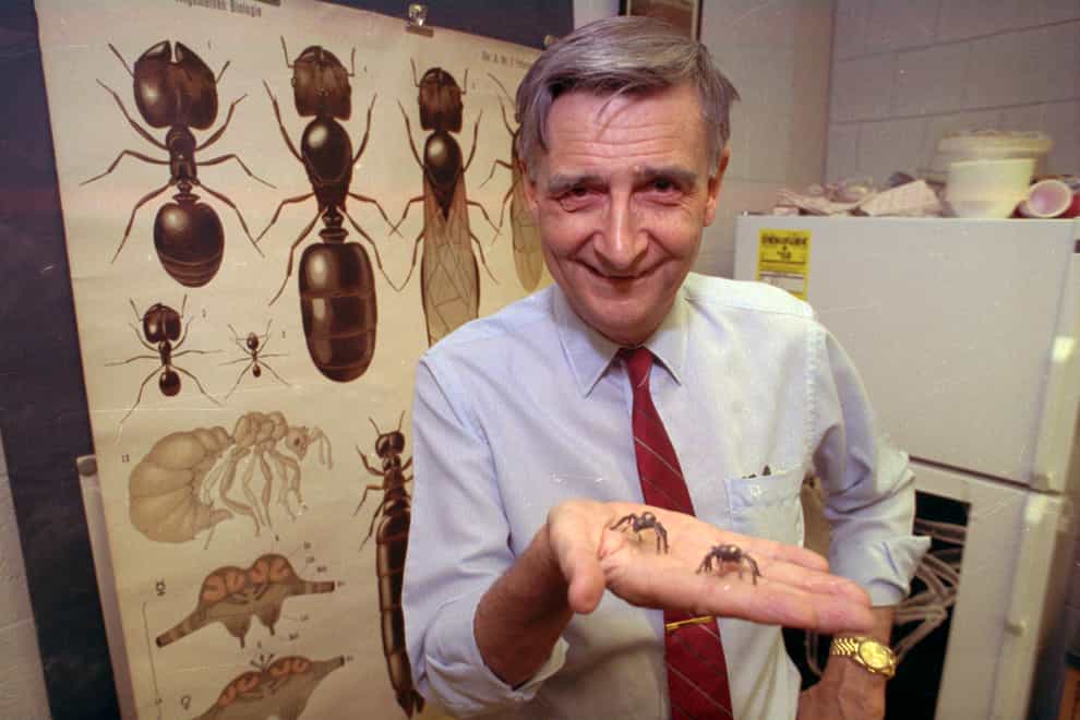 Edward O Wilson won a Pulitzer Prize for a book he co-authored on ants (AP Photo)