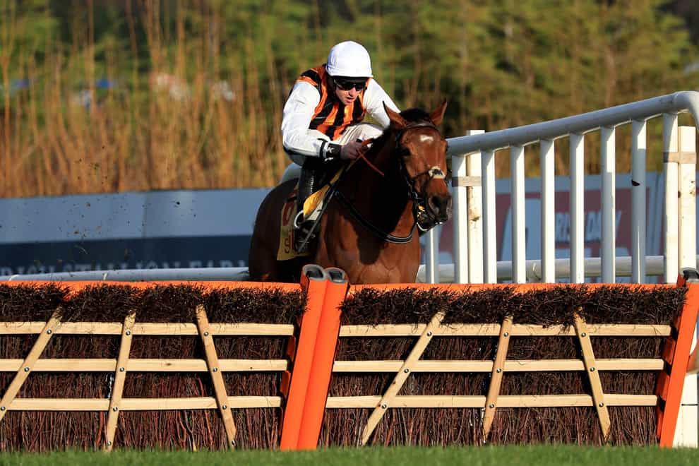 Howyabud is clear of his field as he jumps the last to take the Savills Maiden Hurdle at Leopardstown (Donall Farmer/PA)