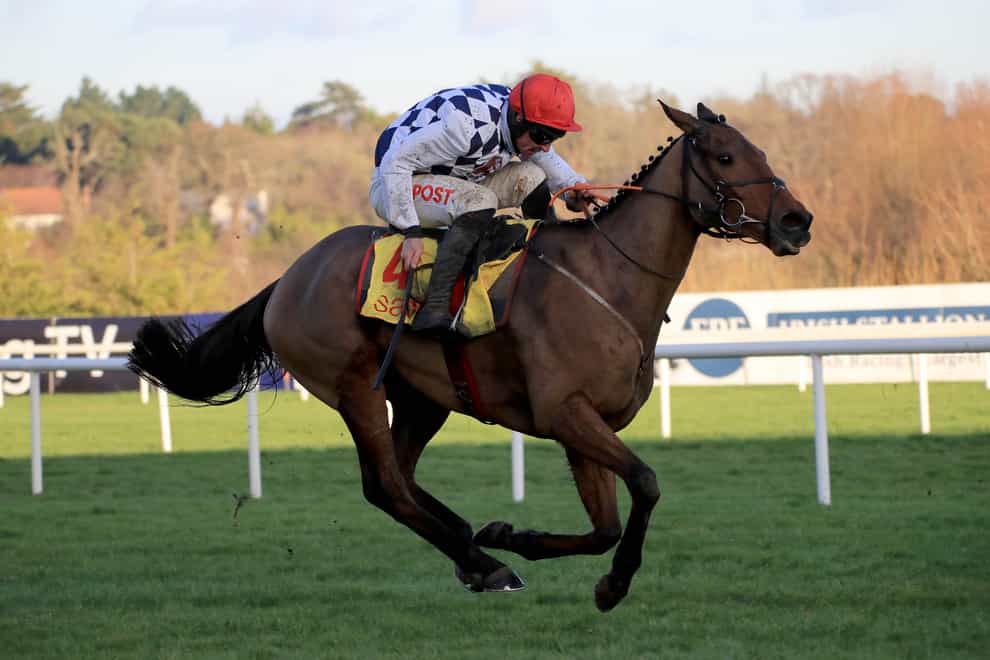 Galvin was a narrow winner at Leopardstown (Donall Farmer/PA)