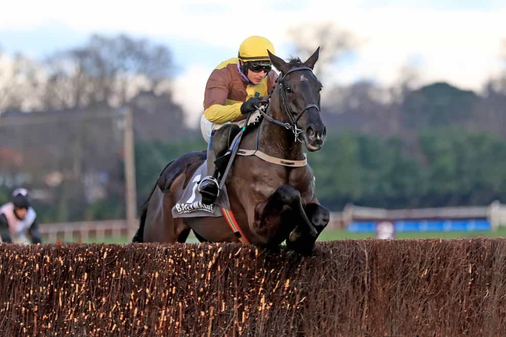 Galopin Des Champs sails over a fence as he puts his rivals to the sword in the Ballymaloe Relish Beginners Chase at Leopardstown (Donall Farmer/PA)