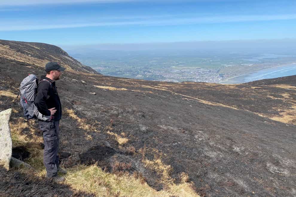 South Down countryside manager Patrick Lynch looks out over the burnt landscape of the Mournes (Patrick Lynch/PA)