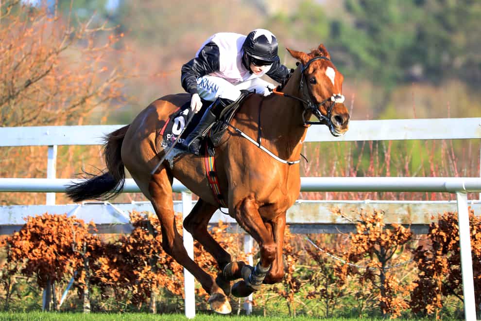 Journey With Me on his way to winning at Leopardstown (Donall Farmer/PA)