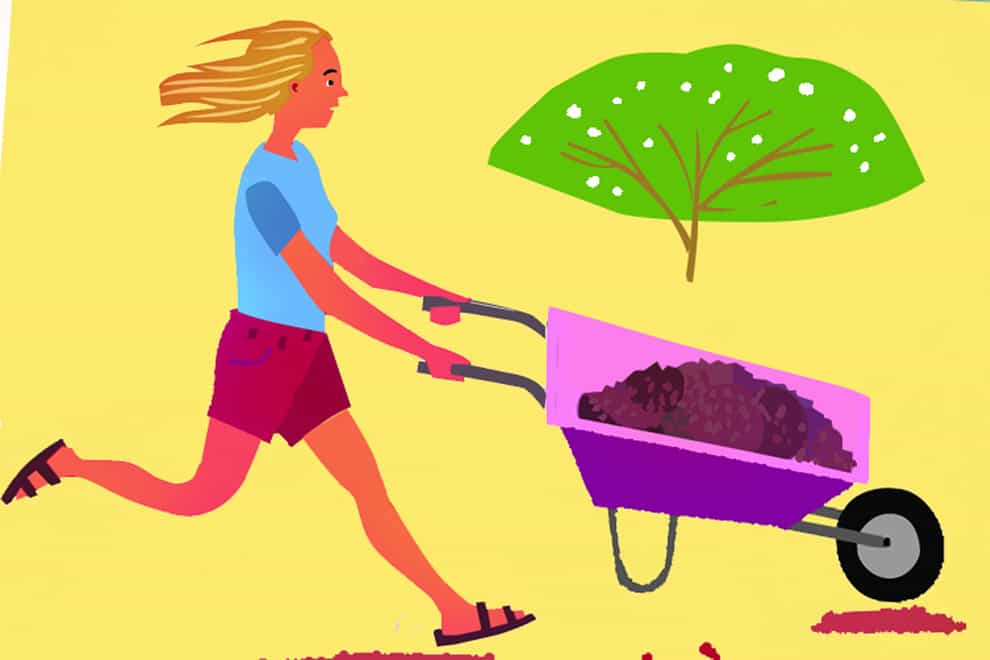 Illustration from Stuff: Eco-Stories of Everyday Stuff by Maddie Moate (Paul Boston/PA)