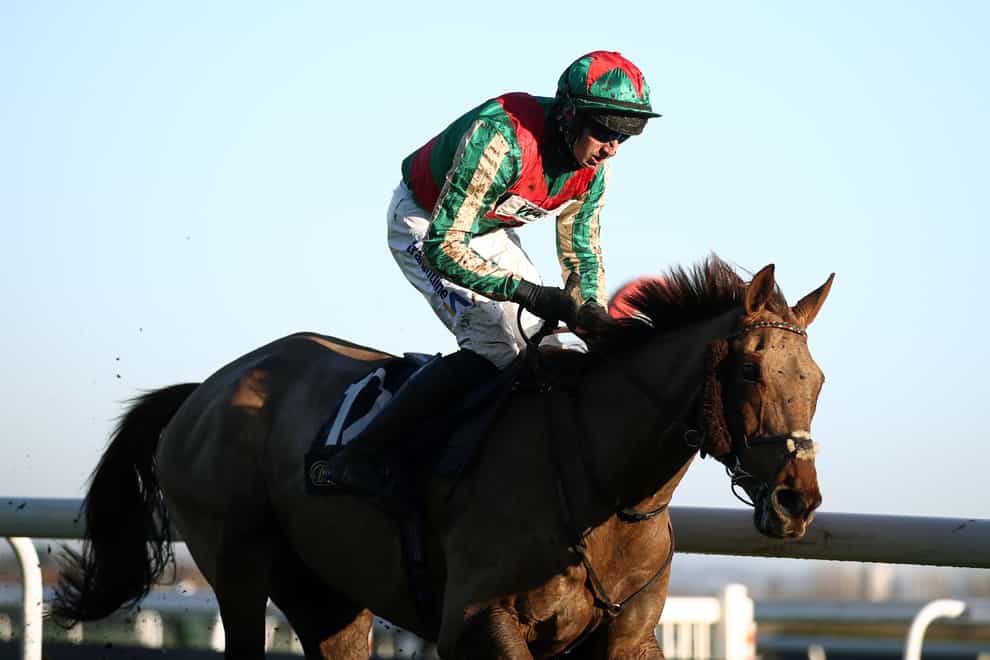 Vieux Lion Rouge winning the Becher Chase (Tim Goode/PA)