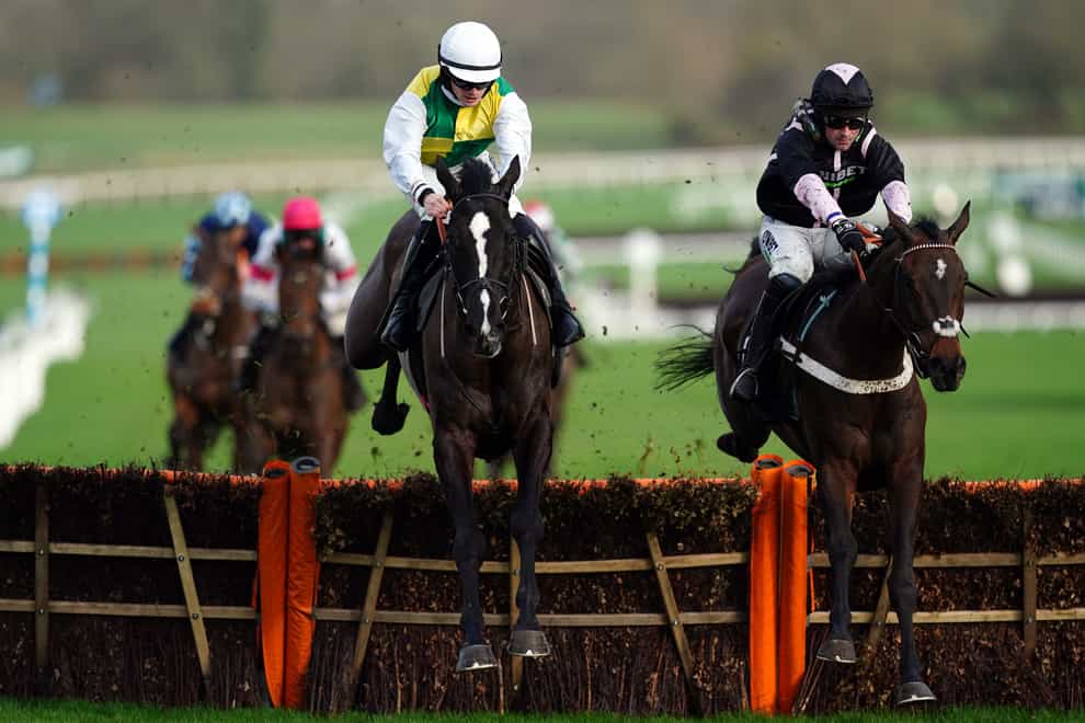 Hillcrest (left) ridden by Richard Patrick before going on to win the Ballymore Novices’ Hurdle at Cheltenham Racecourse. Picture date: Saturday January 1, 2022 (David Davies/PA)