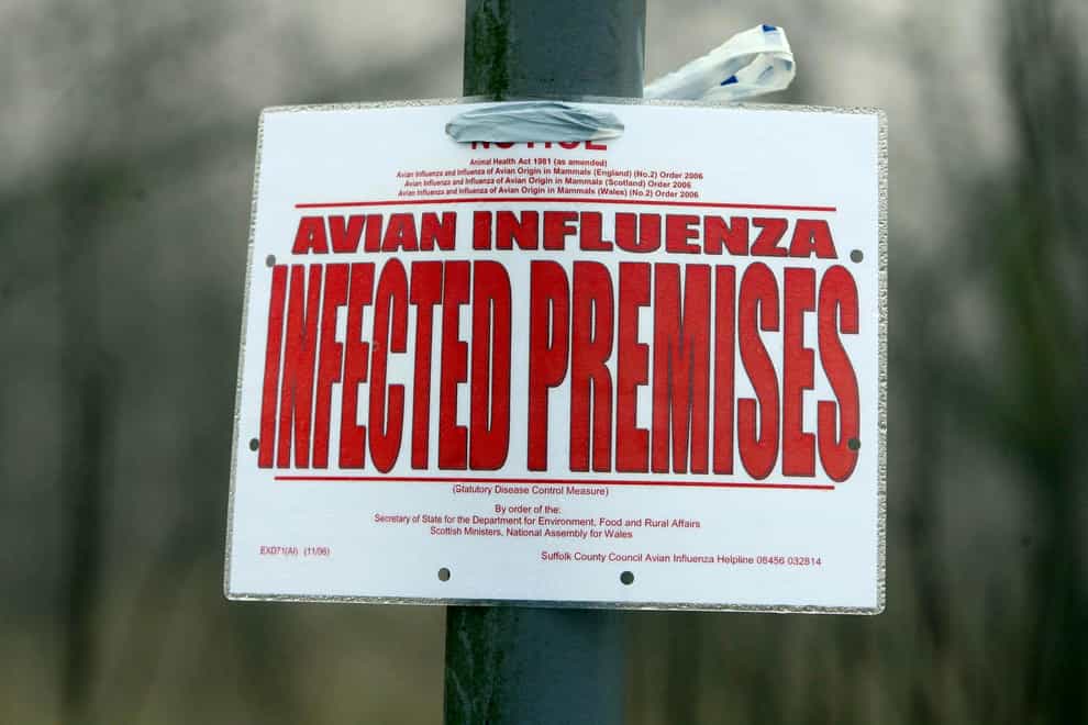 Some strains of bird flu can pass from birds to people (Lewis Whyld/PA)