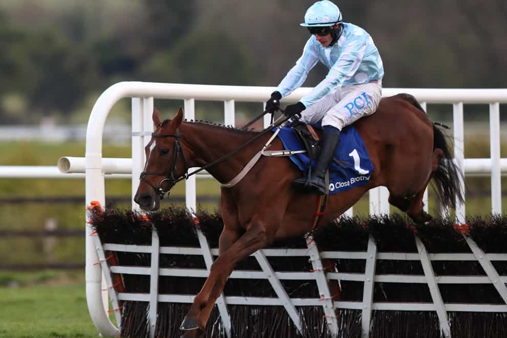 Gauloise in action at Punchestown (Brian Lawless/PA)