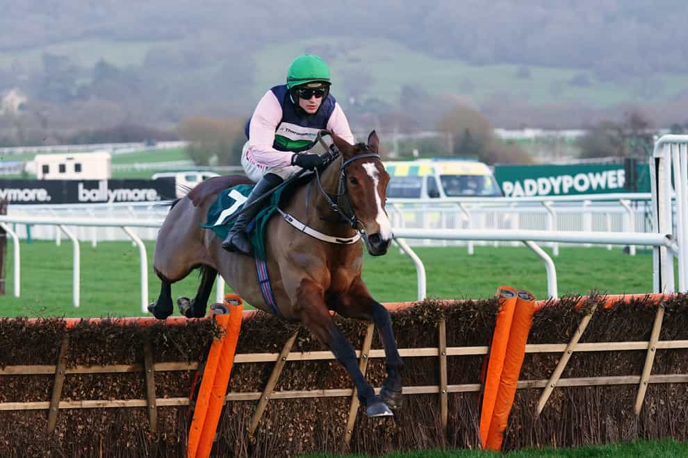 Stormy Ireland ridden by Danny Mullins before going on to win the Dornan Engineering Relkeel Hurdle at Cheltenham Racecourse (David Davies/PA)