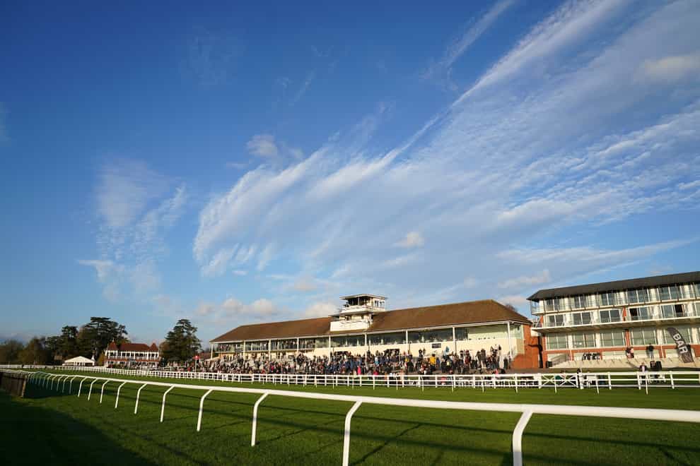 Lingfield passed its inspection (Adam Davy/PA)