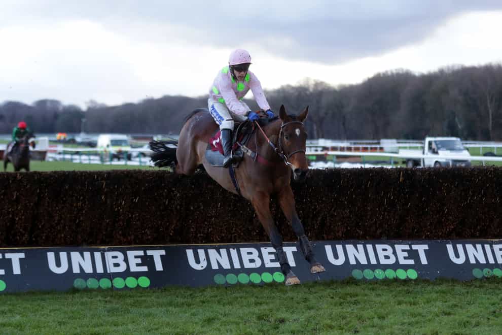 Royale Pagaille on his way to winning last year’s Peter Marsh Chase (David Davies/PA)