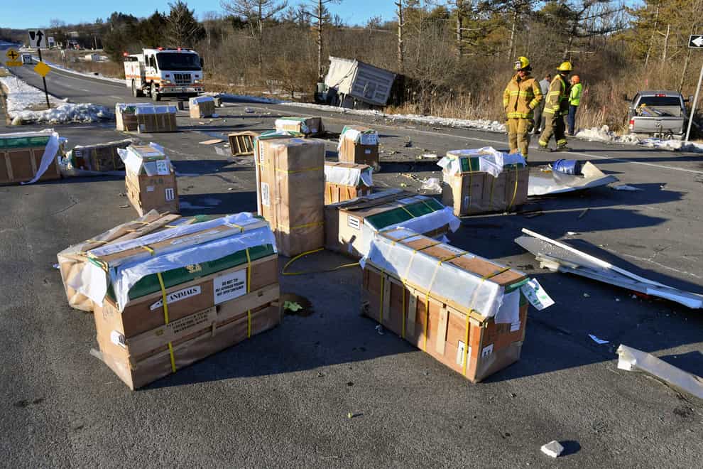 Crates holding live monkeys are scattered across the westbound lanes of state Route 54 at the junction with Interstate 80 near Danville (Bloomsburg Press Enterprise via AP)