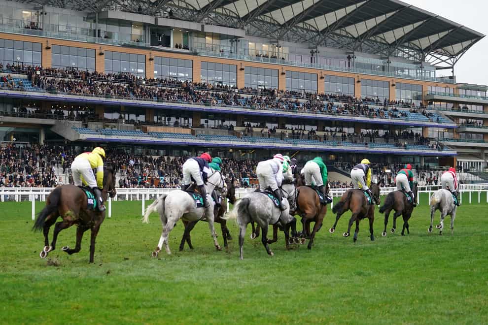 Runners in action at Ascot on Saturday (Adam Davy/PA)