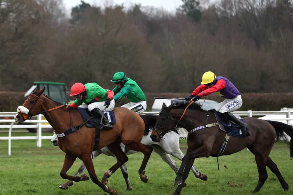 Two For Gold (left) gets up in the final strides to collar Dashel Drasher (right) and Bristol De Mai (grey horse) in the Fleur De Lys Chase at Lingfield (Steven Paston/PA)
