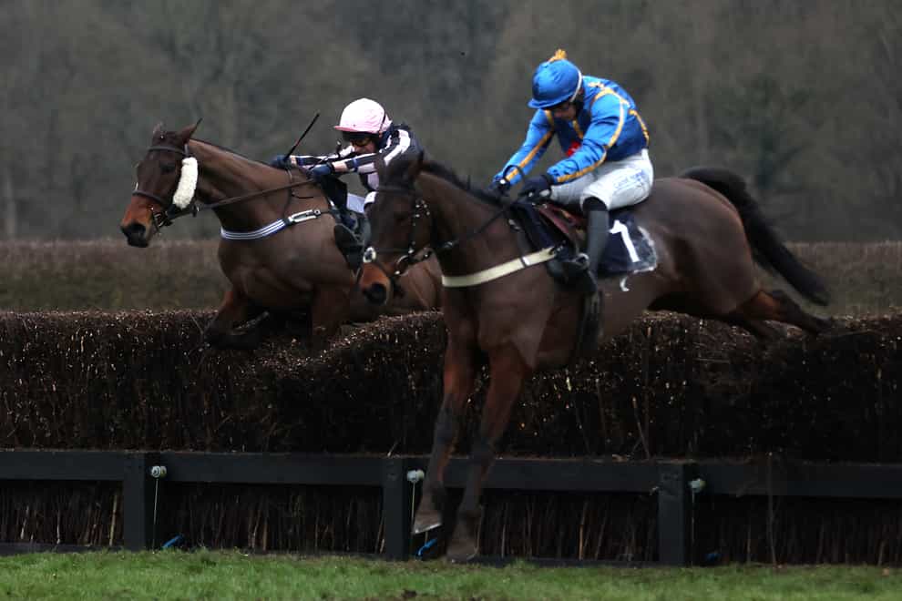 Ben Jones and The Galloping Bear (right) jumping their way to victory in the racehorselotto.com Surrey National Handicap Chase at Lingfield (Steven Paston/PA)
