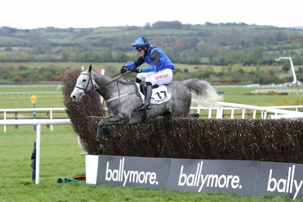 Mister Fogpatches in action at Punchestown (Niall Carson/PA)