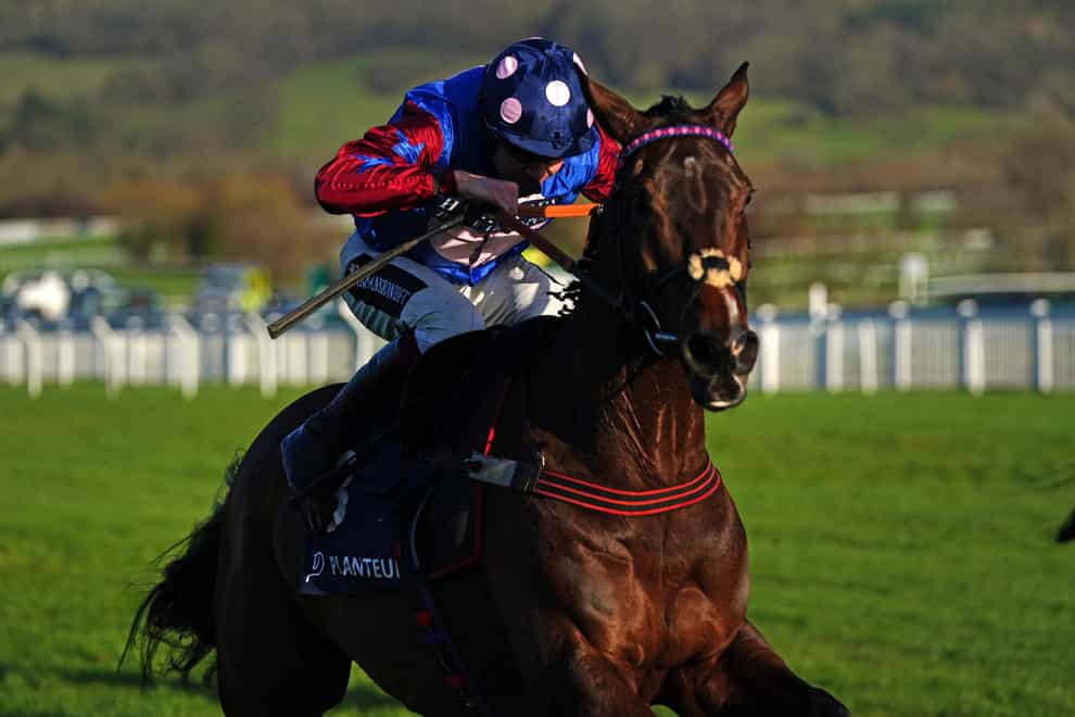 Paisley Park ridden by Aidan Coleman wins the Welsh Marches Stallions At Chapel Stud Cleeve Hurdle at Cheltenham Racecourse. Picture date: Saturday January 29, 2022 (David Davies/PA)