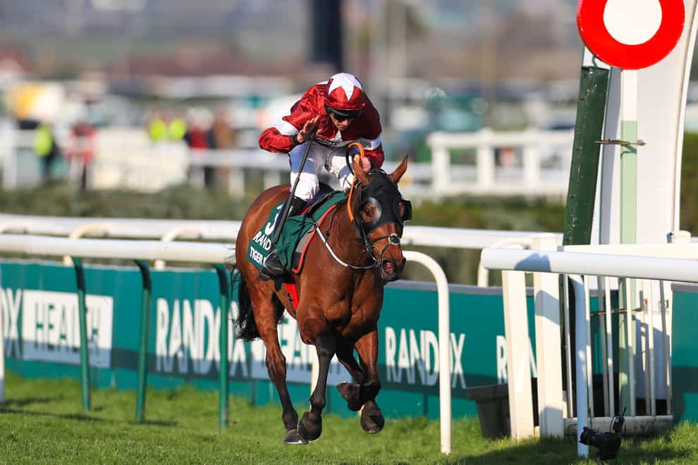 Dual Grand National hero Tiger Roll is among the entries for this year’s renewal (Mike Egerton/PA)
