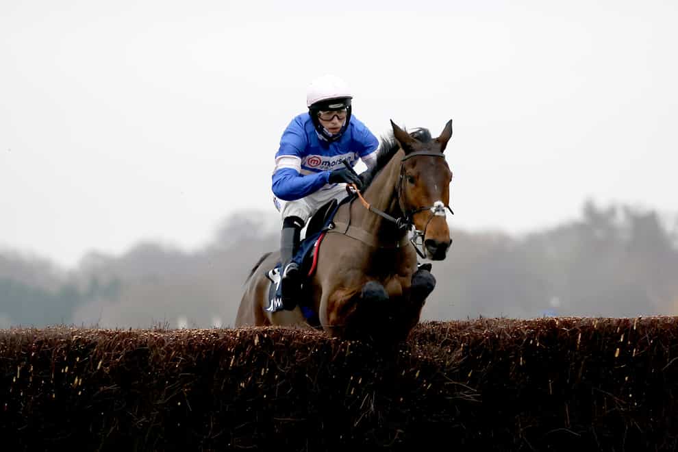 Pic D’Orhy in action at Ascot (Steven Paston/PA)