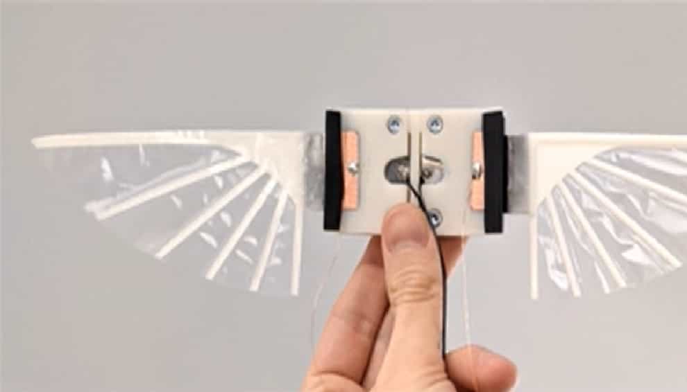 The insect-sized robots can fly by flapping their wings (Tim Helps/University of Bristol)