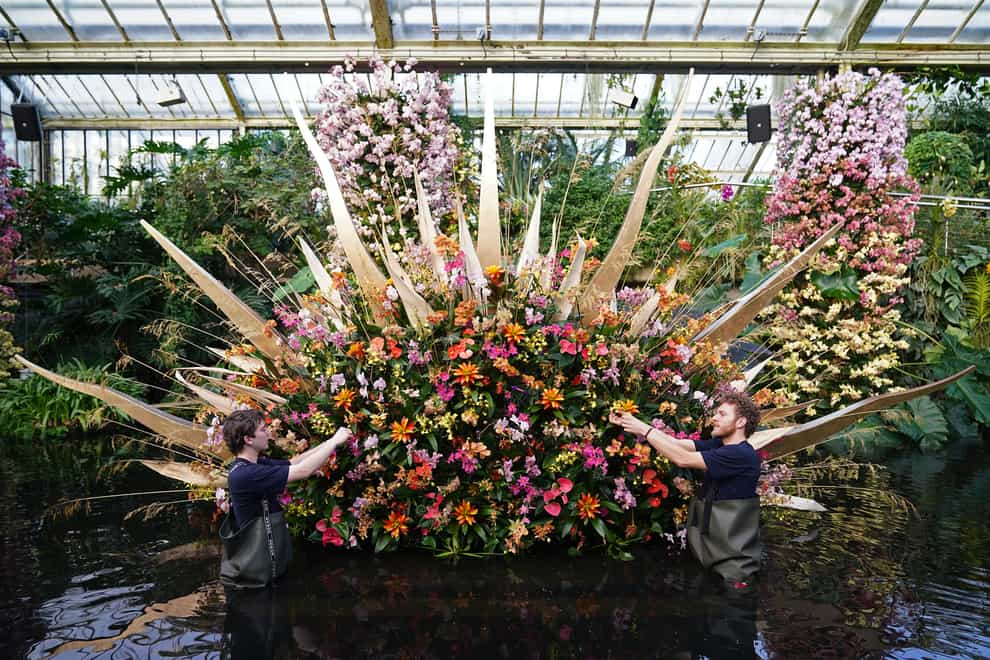 Horticulturists attend to the ‘Rising sun’ display at the Kew Orchid Festival: Costa Rica, at the Royal Botanic Gardens (Yui Mok/PA)