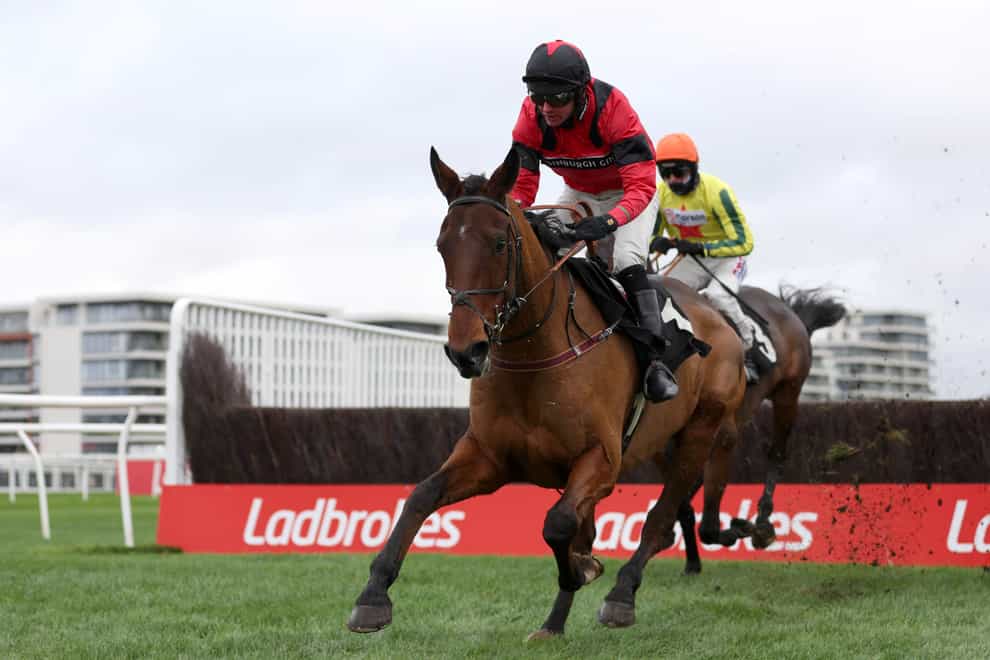 Ahoy Senor is a hot favourite for the Towton Novices’ Chase (Steven Paston/PA)