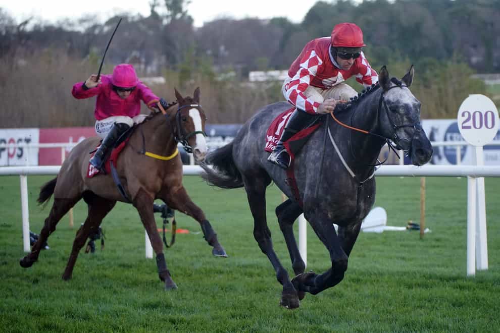 Fil Dor leads the way at Leopardstown (Niall Carson/PA)