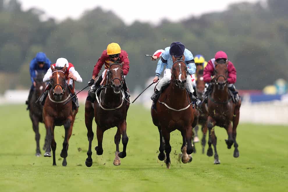 Spycatcher (blue silks) in the Acomb Stakes at York (David Davies/PA)