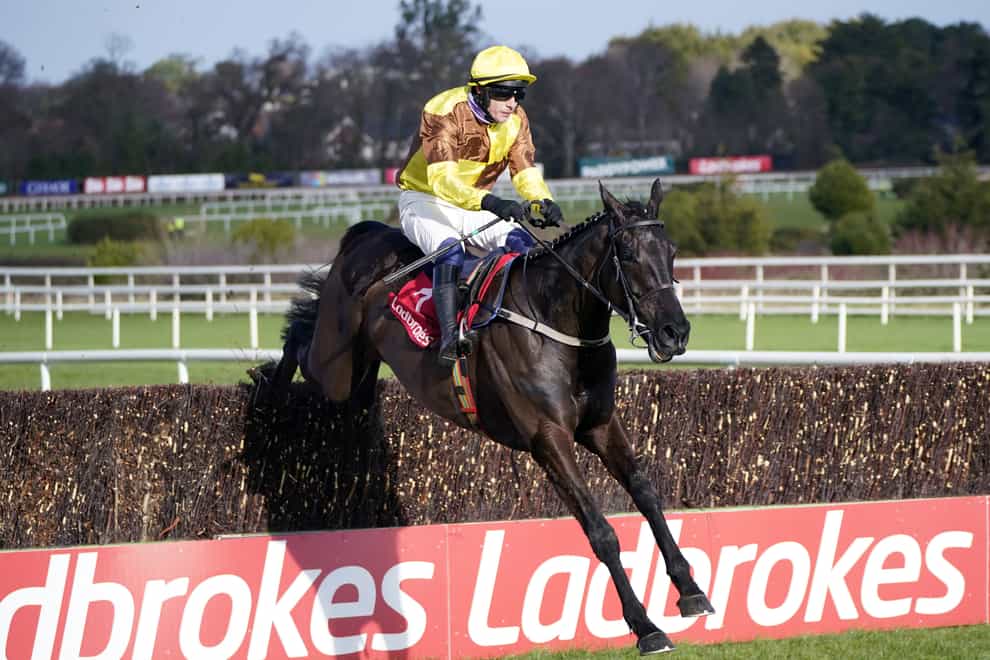 Galopin Des Champs on his way to Leopardstown glory (Niall Carson/PA)