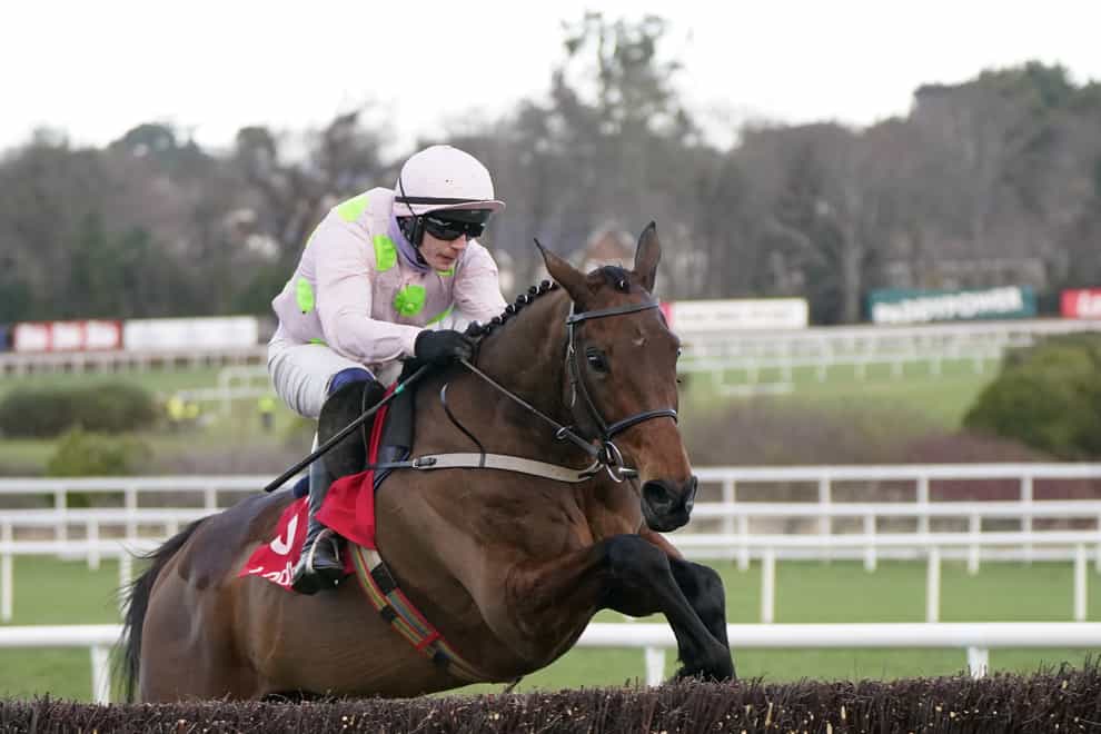 Chacun Pour Soi was back on winning form at Leopardstown (Niall Carson/PA)