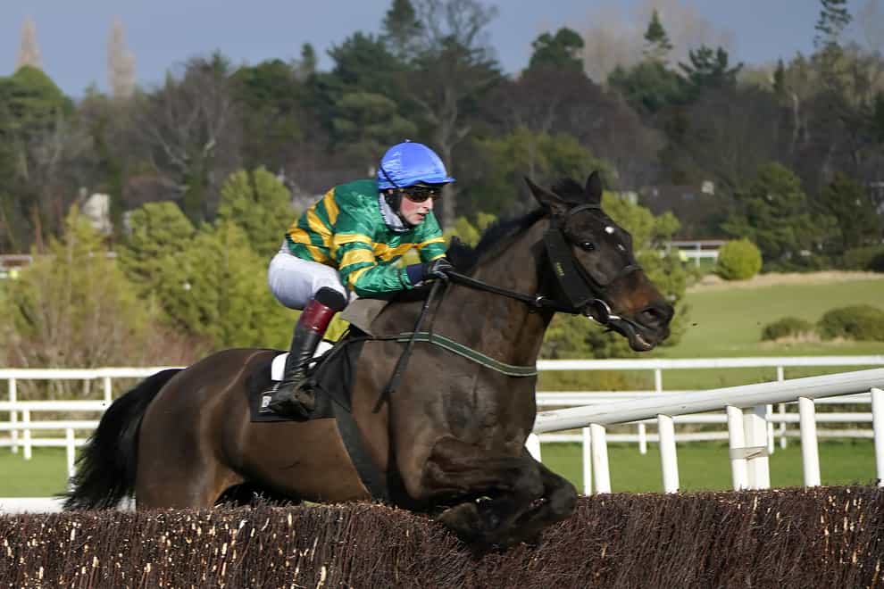 Mark McDonagh and Birchdale on the way to Leopardstown glory (Niall Carson/PA)