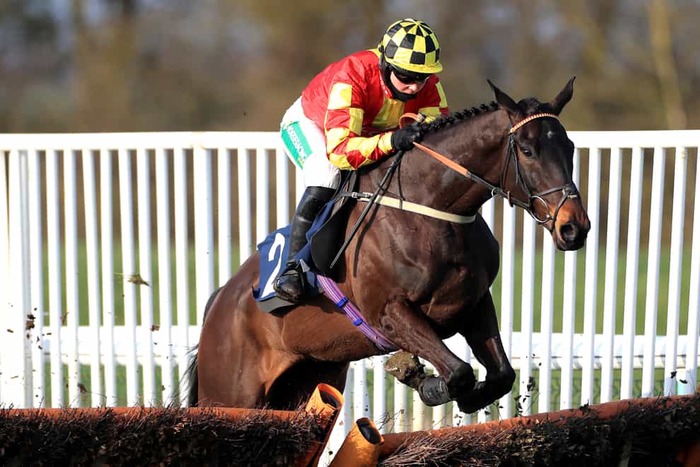 Onemorefortheroad will miss the Betfair Hurdle after suffering a setback (Mike Egerton/PA)