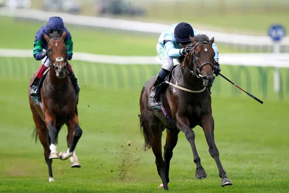 Royal Patronage (right) could have the Derby as his big target in 2022 (Tim Goode/PA)