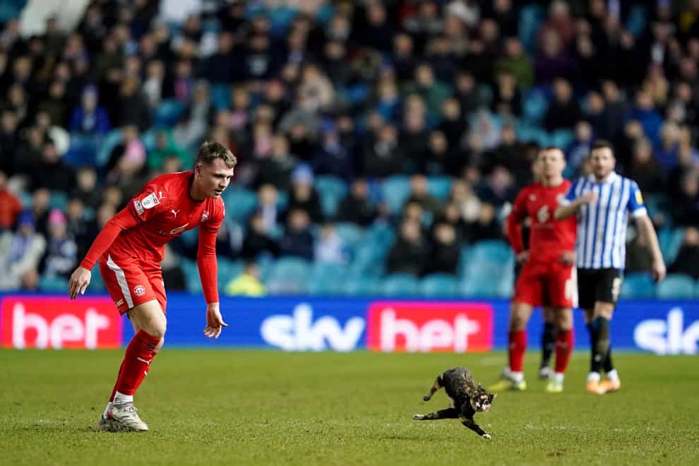 Wigan Athletic’s Jason Kerr attempts to remove a cat from the pitch during the Sky Bet League One match at Hillsborough (PA)