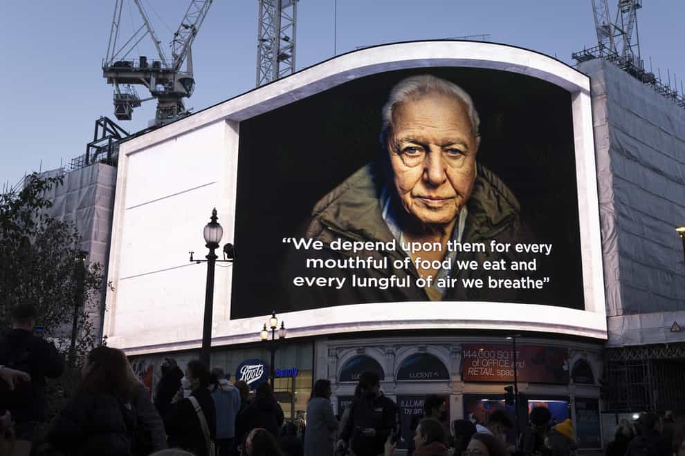 A 3D digital sequence featuring Sir David Attenborough is unveiled at Piccadilly Lights (Matt Alexander/PA)