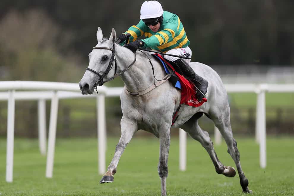 Elimay in winning action at Punchestown (Brian Lawless/PA)