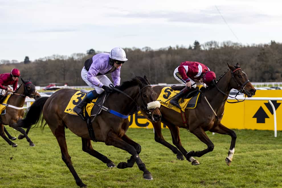 Glory And Fortune (left) holds off I Like To Move It (Steve Paston/PA)